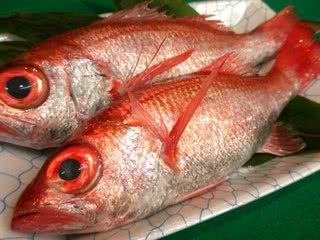 精選京都15家能品嚐到美味「海鮮料理」的餐廳