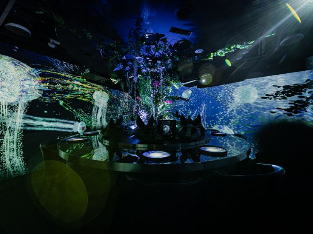 訪日外国人からも注目を集めている、食×アートの体験型レストラン！ [TREE by NAKED yoyogi park]