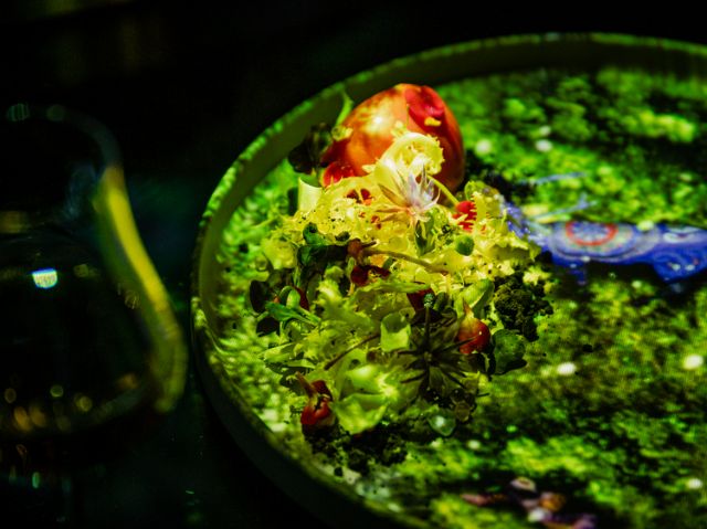 受到访日外国人关注的，食×艺术的体验型餐厅！ [TREE by NAKED yoyogi park]