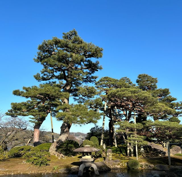 [Day 2] 오래된 도시 풍경이 남아 있는 가나자와에서 2일 여행 중 미식 즐기기