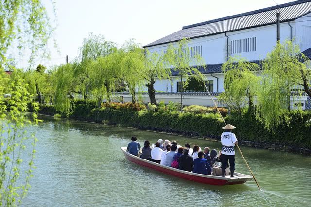 绝佳美景!九州地区最推荐的向日葵花海