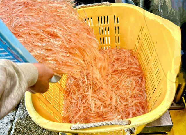 活動 '漁民聚會於富山新港漁港！' 展示富山的海鮮料理 | 海到餐桌計畫支持北陸地區