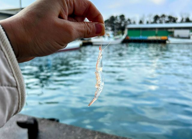 活動 '漁民聚會於富山新港漁港！' 展示富山的海鮮料理 | 海到餐桌計畫支持北陸地區