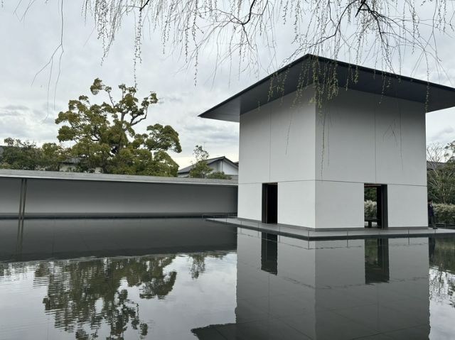 9:30 am: D. T. Suzuki Museum