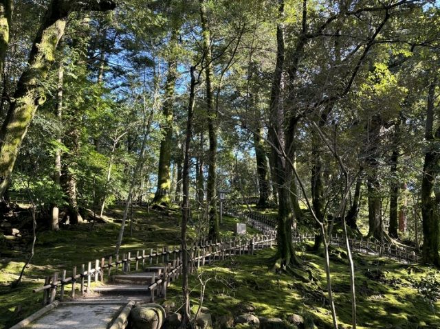 [第2天] 在金澤享受美食的2天旅行，古老的城鎮風貌依然存在