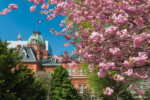 Discover the Beauty of Sapporo Japan