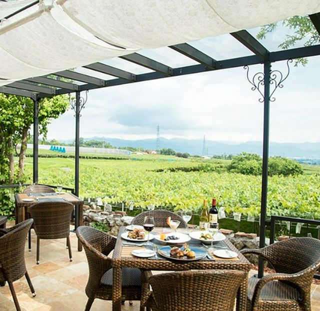 From Mount Fuji to vineyards! Recommended delicious restaurants in Yamanashi Prefecture, full of attractions.