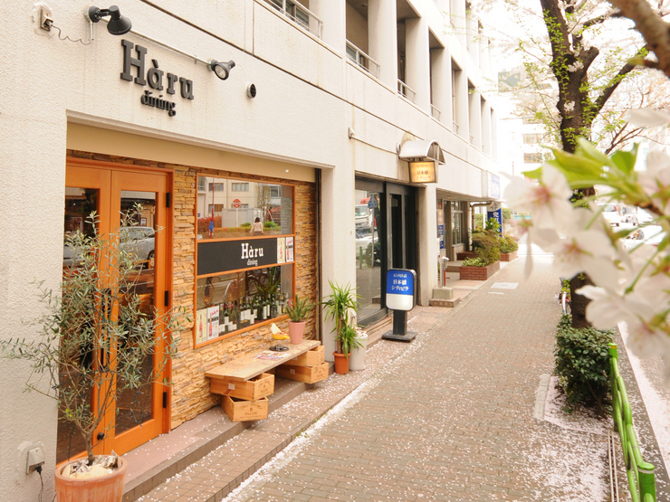 東京最佳觀賞櫻花的10家餐廳