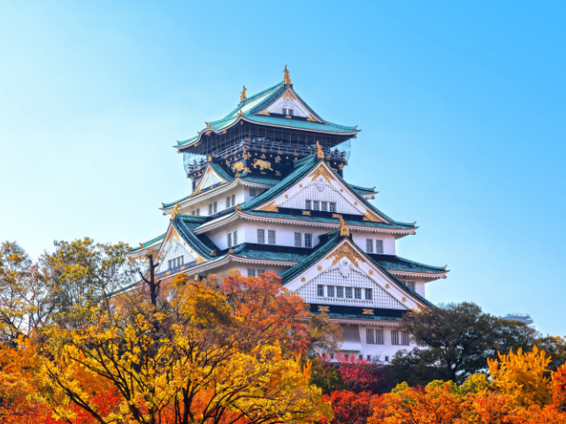 大阪城觀光的回程中，可以盡情享受日本美食的5家店｜大阪