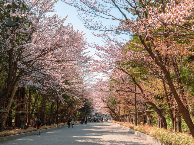 造訪北海道・圓山公園時值得一去的店家｜北海道
