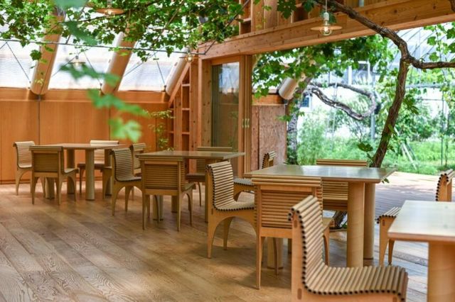 金澤最受歡迎的和食餐廳5選｜金澤