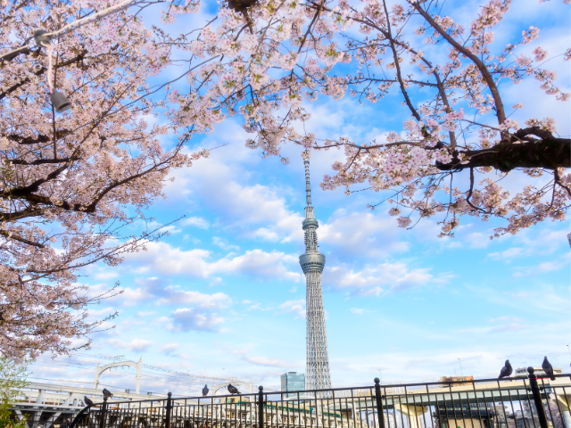 5 Selected Japanese Restaurants Around Asakusa and Tokyo Skytree | Tokyo