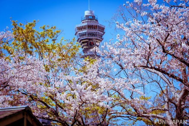 Tsutenkaku