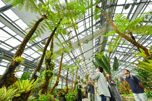 在三重縣桑名市，集古老文化、悠久歷史、溫泉度假村於一體的城市，享用豐富美食的高級旅行體驗