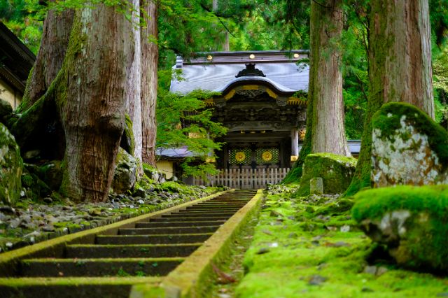 A Journey to Experience Zen, Embrace Japanese Hospitality, and Soothe the Soul: Fukui Premium Tour