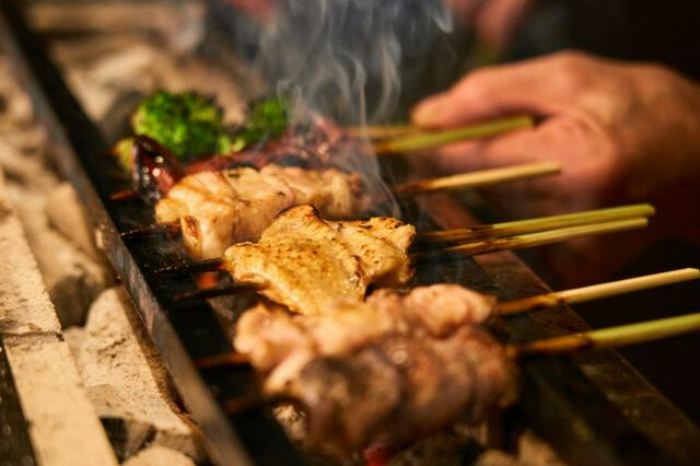 Recommended restaurants near cherry blossom spots such as Maruyama Park and Kamo River | Kyoto