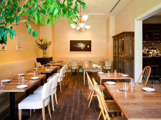 Recommended restaurants around Yoyogi Park to visit after cherry blossom viewing | Tokyo