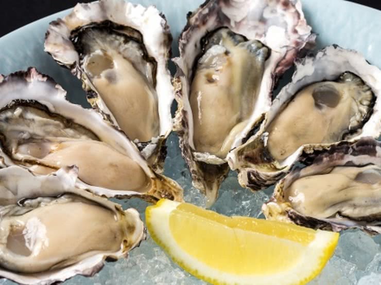 廣島觀光必去的日式料理名店15選