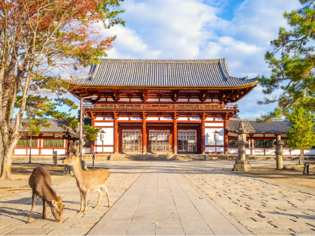 到奈良觀光必吃美食餐廳13選