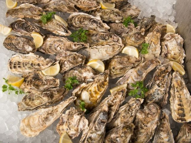 3. Oyster Bar [Rekaie Oyster Bar]