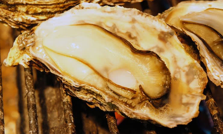 旅行廣島的宮島嚴島神社時，非吃不可的餐廳14選