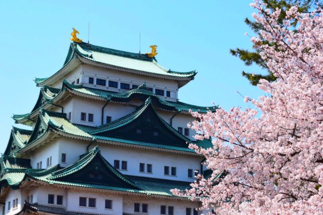 5 Recommended Restaurants to Visit After Enjoying Cherry Blossoms at Nagoya Castle | Aichi, Nagoya