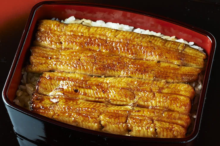 於炎熱夏暑中補給元氣!嚴選東京14間必吃的美味鰻魚名店