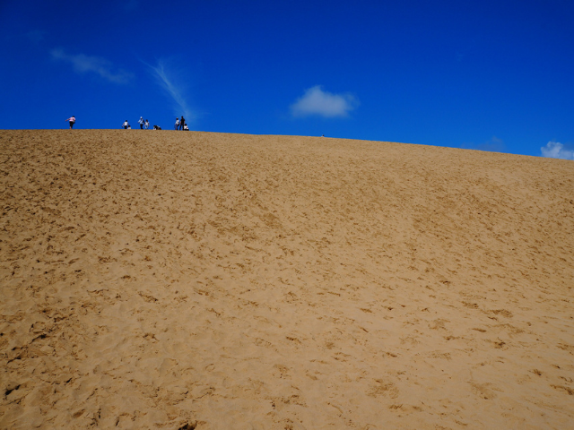 造訪日本最大的砂丘「鳥取砂丘」之後必去的5家店