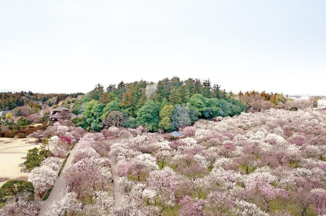 Kairakuen Garden