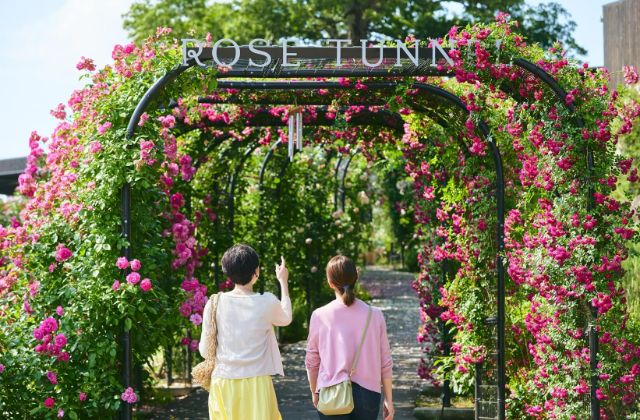 Ibaraki: The story of flowers and food. Nature and flavors alive in the Edo period