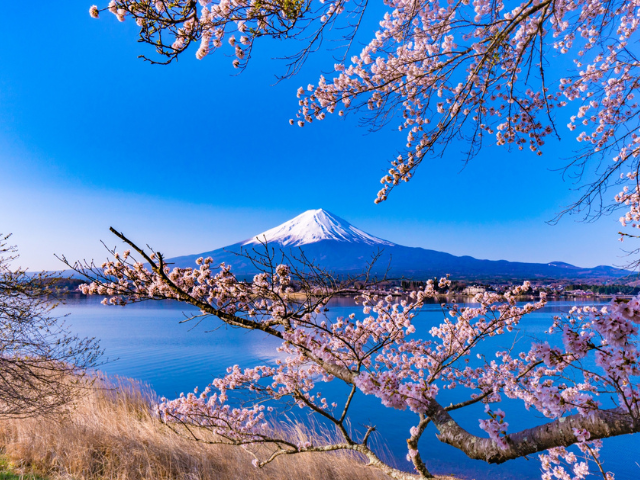 山梨的河口湖・山中湖周边推荐的5家店