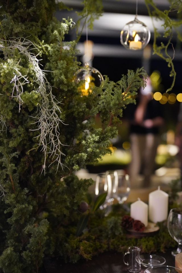 茨城的花卉絕景。鮮花環繞的體驗與江戶的歷史。