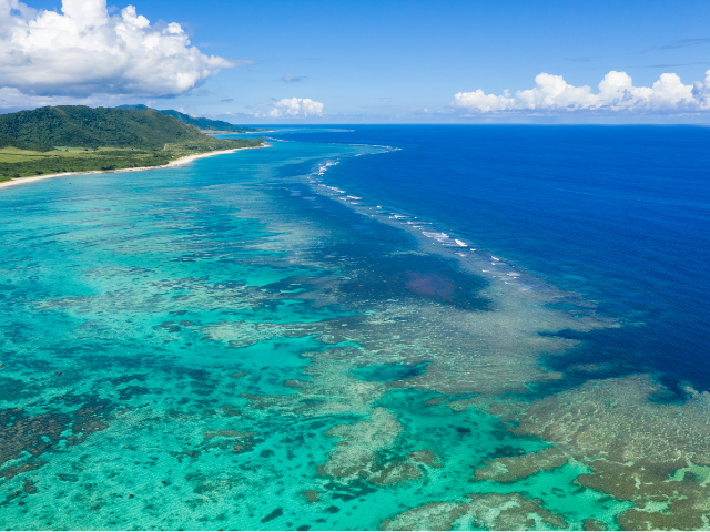 Four restaurants in Okinawa's Ishigaki Island where one can enjoy local ingredients.