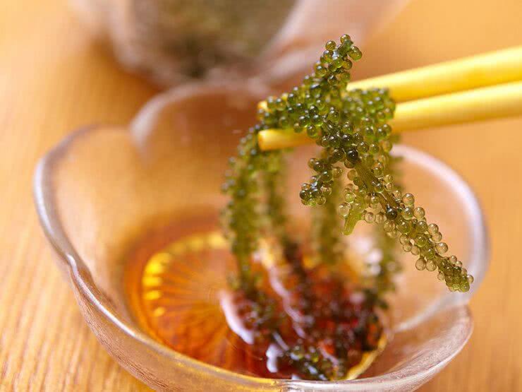 Enjoy the Premium Taste of Okinawan Agu Pork in the Heart of Naha