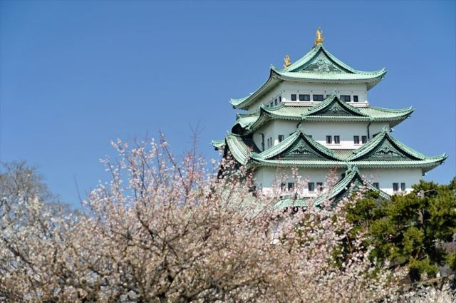 Visit Nagoya in Aichi, A Place Full of History!