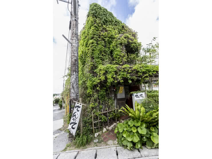 藤蔓環繞的外觀、樹海般的裝潢、琉球士族住宅～獨特沖繩餐廳～