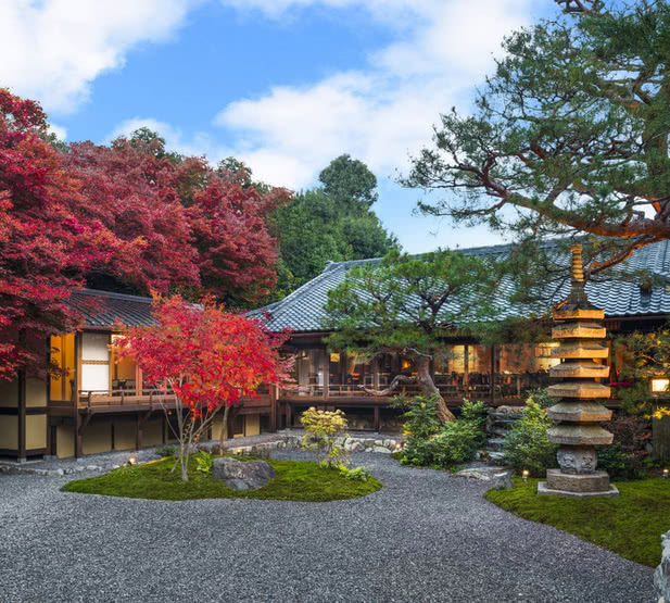 賞楓後順道去！京都人氣餐廳15選