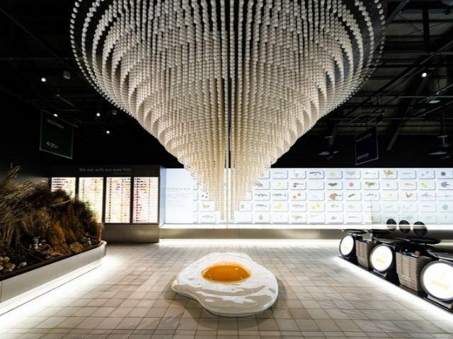 A lifetime's worth of eggs