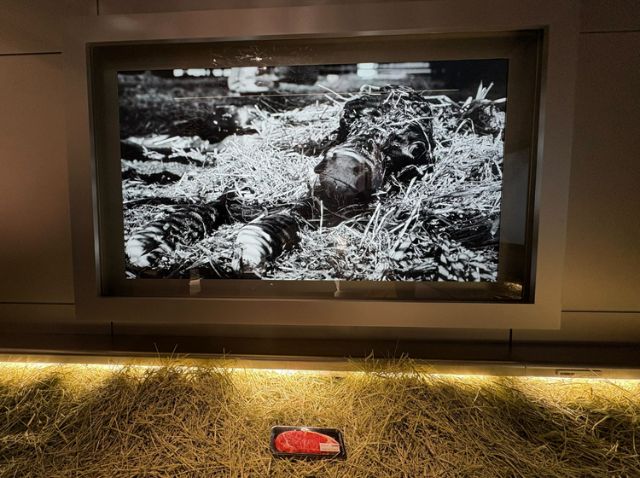 ■ 家畜這個生命