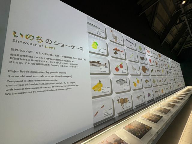 生命的展示柜