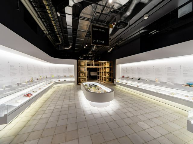 地球食品