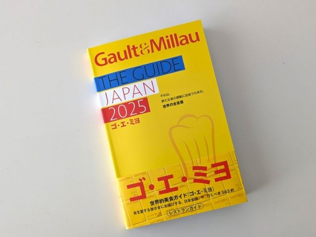 《戈·艾·米·优》是