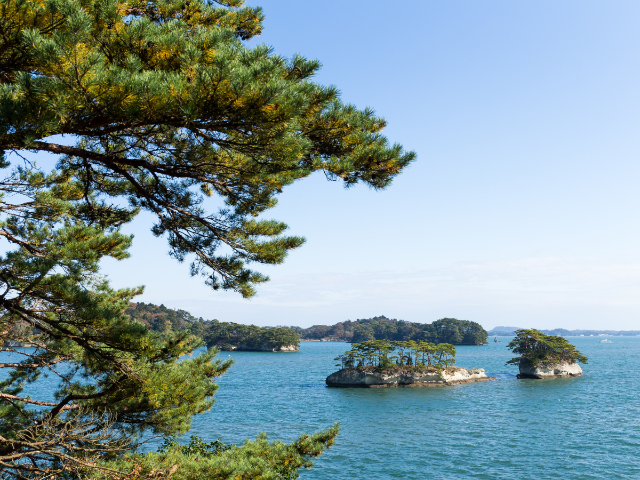 日本三景之一，松島訪問時想要造訪的店家