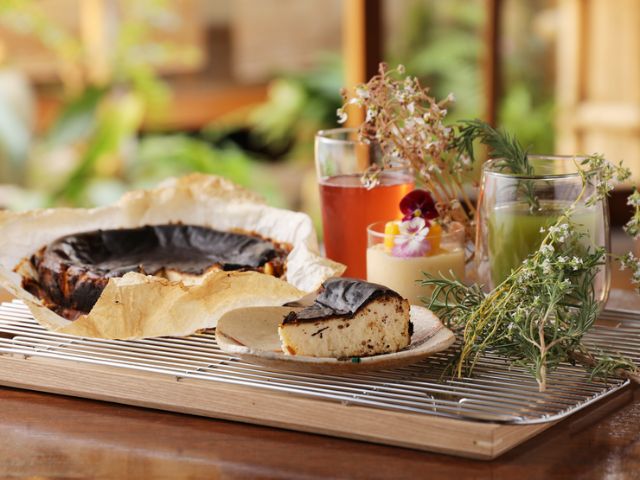 10. food and forest