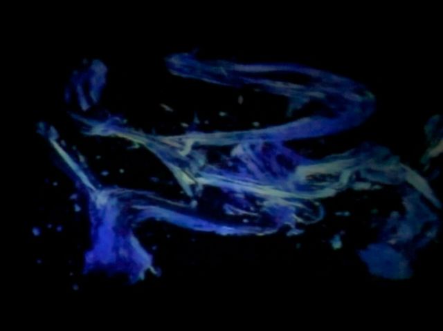 비브구르망 게재점[Vegan Ramen UZU Kyoto]의 비건 라멘을 도쿄의 아트 공간에서 시식