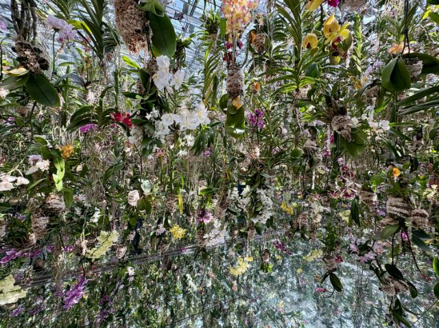 米其林必比登推薦店[Vegan Ramen UZU Kyoto]的純素拉麵，在東京的藝術空間現場品嚐