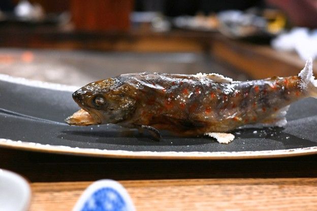 旅で出会う味ー郷土料理の名店「柳家」で体験する山の恵み
