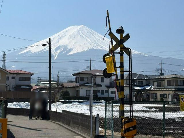 從東京當天來回盡情享受富士山＆河口湖！日本編輯部的旅行日記