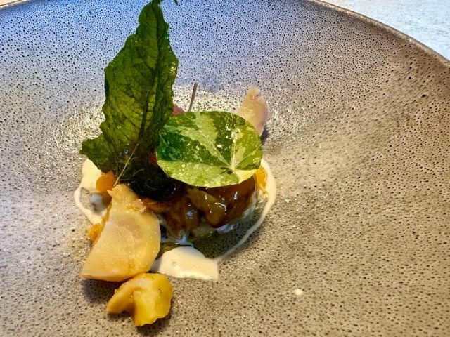 군마[ヴェンティノーヴェ]（ventinove）～히토사라 편집장의 편집후기