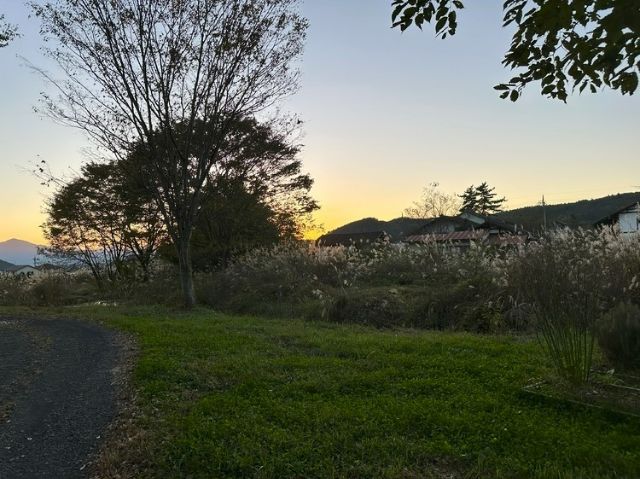 군마[ヴェンティノーヴェ]（ventinove）～히토사라 편집장의 편집 후일담